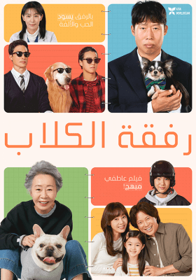 فيلم الدراما الكوري Dog Days 2024 مترجم